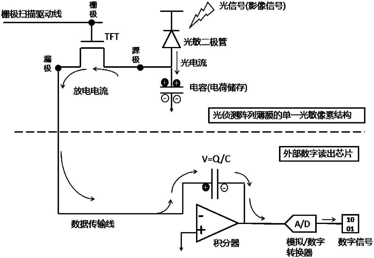 Photodetection thin film, photodetector and photodetection device