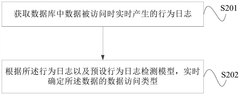 Data access detection method and device