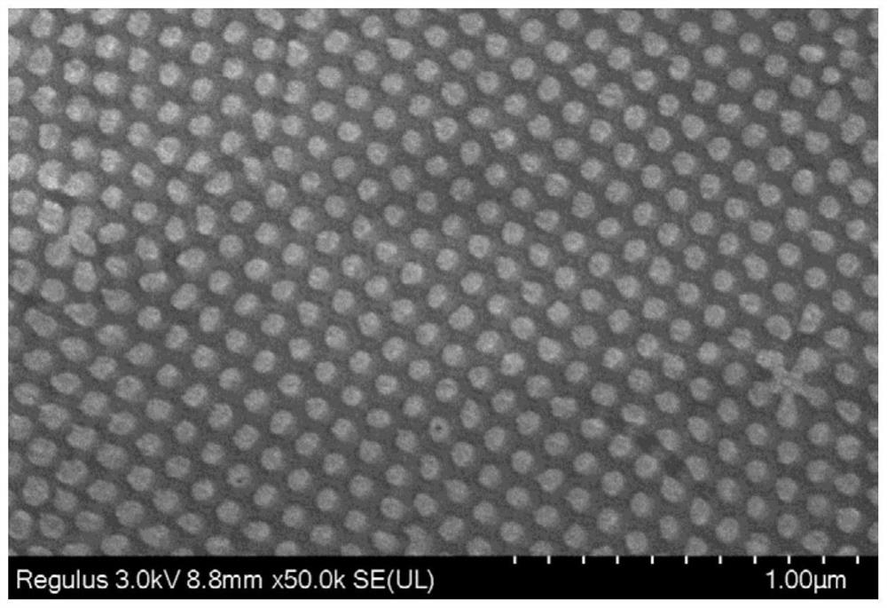 Gold nanorod array glucose sensor with high-order surface plasmon mode and manufacturing and using methods