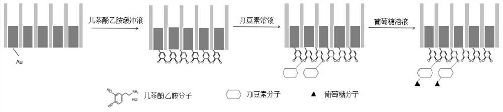 Gold nanorod array glucose sensor with high-order surface plasmon mode and manufacturing and using methods