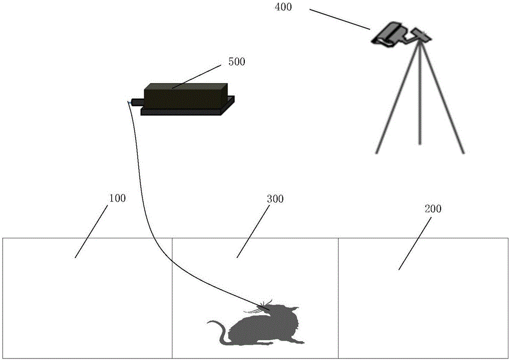 Device and method for fear test