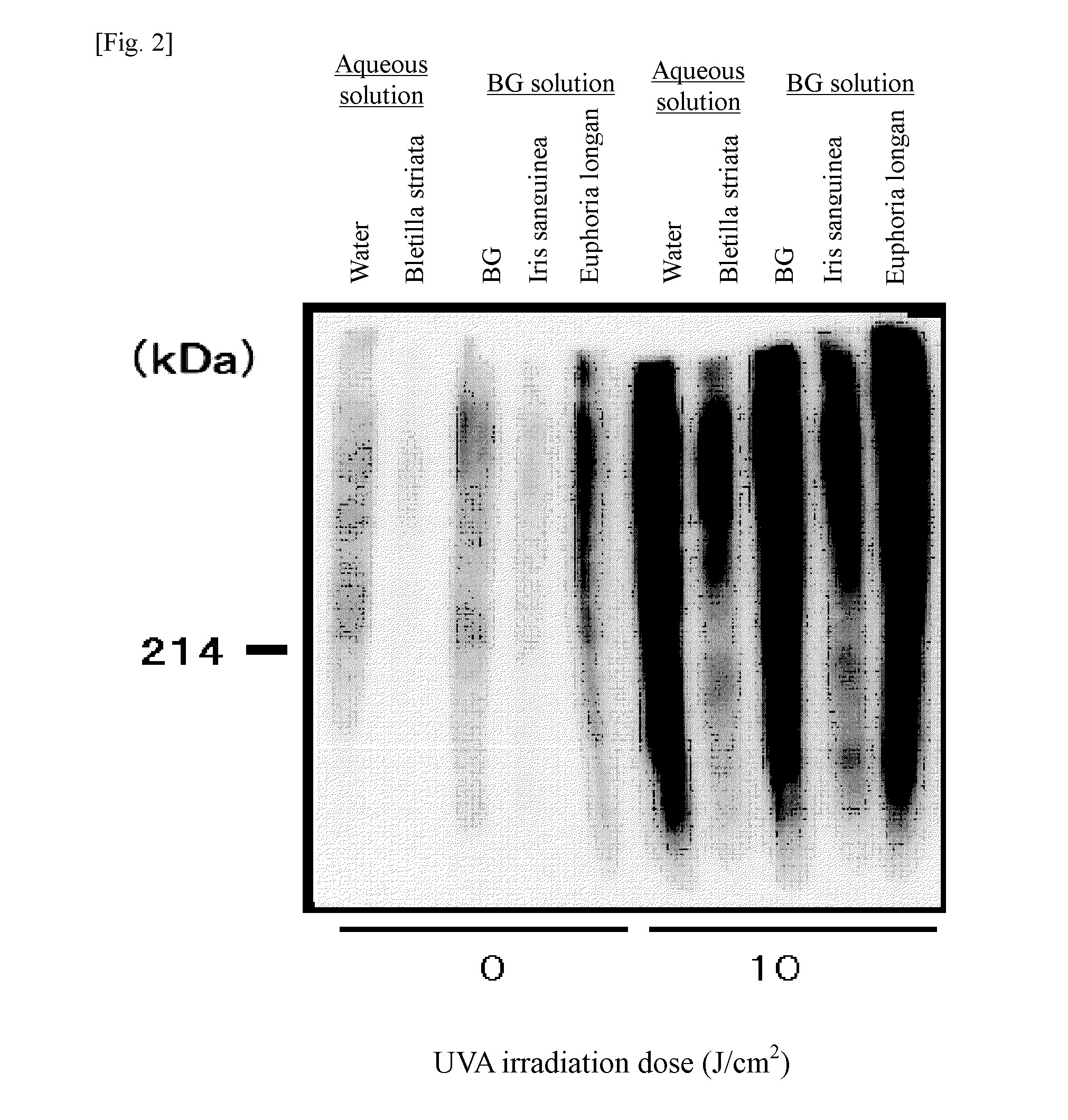 Abnormal protein removing method