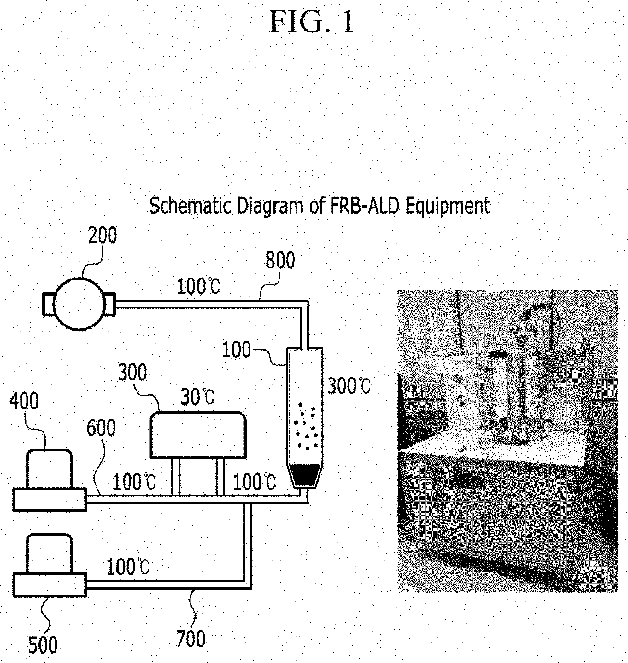 Method and apparatus of preparing catalyst for fuel cell
