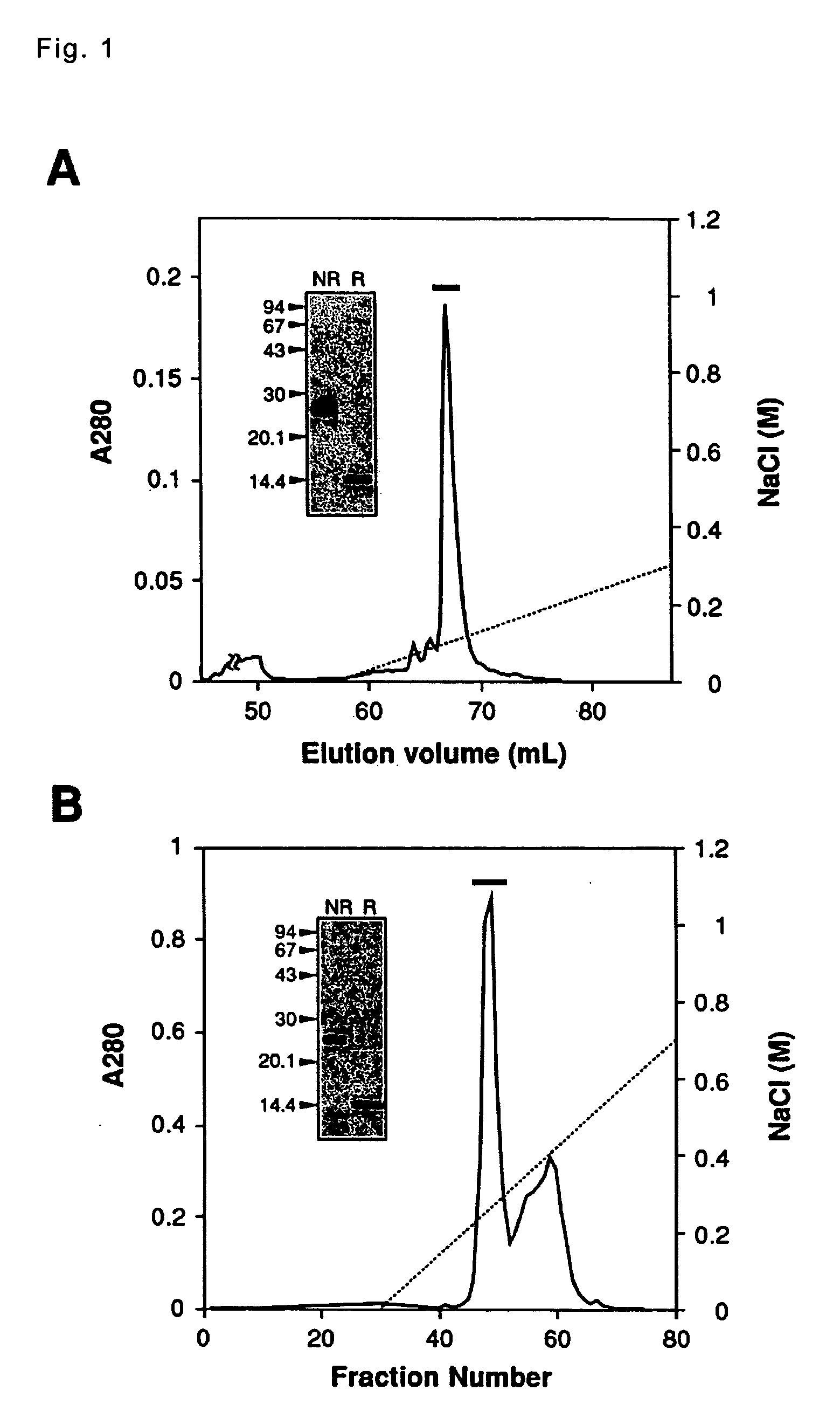 Venom-derived vascular endothelial growth factor-like protein having binding activity specific to vascular endothelial growth factor receptor type 2 and use thereof