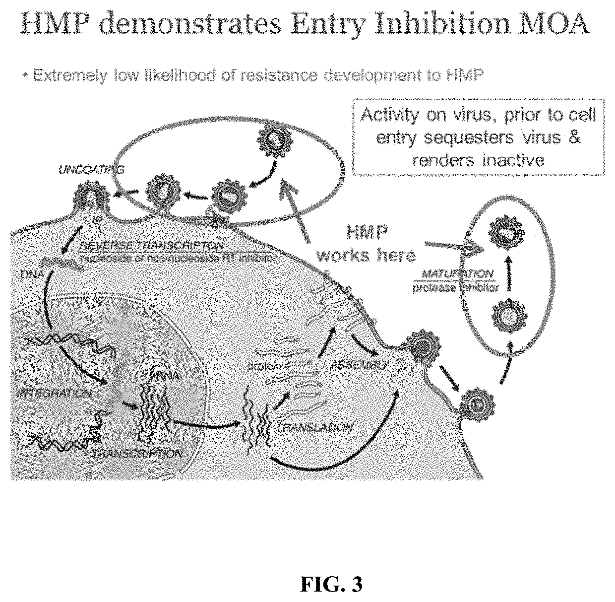 Methods and compositions for inhibiting influenza viruses using low molecular weight hydrophobically modified polymers and polyalkylene glycols