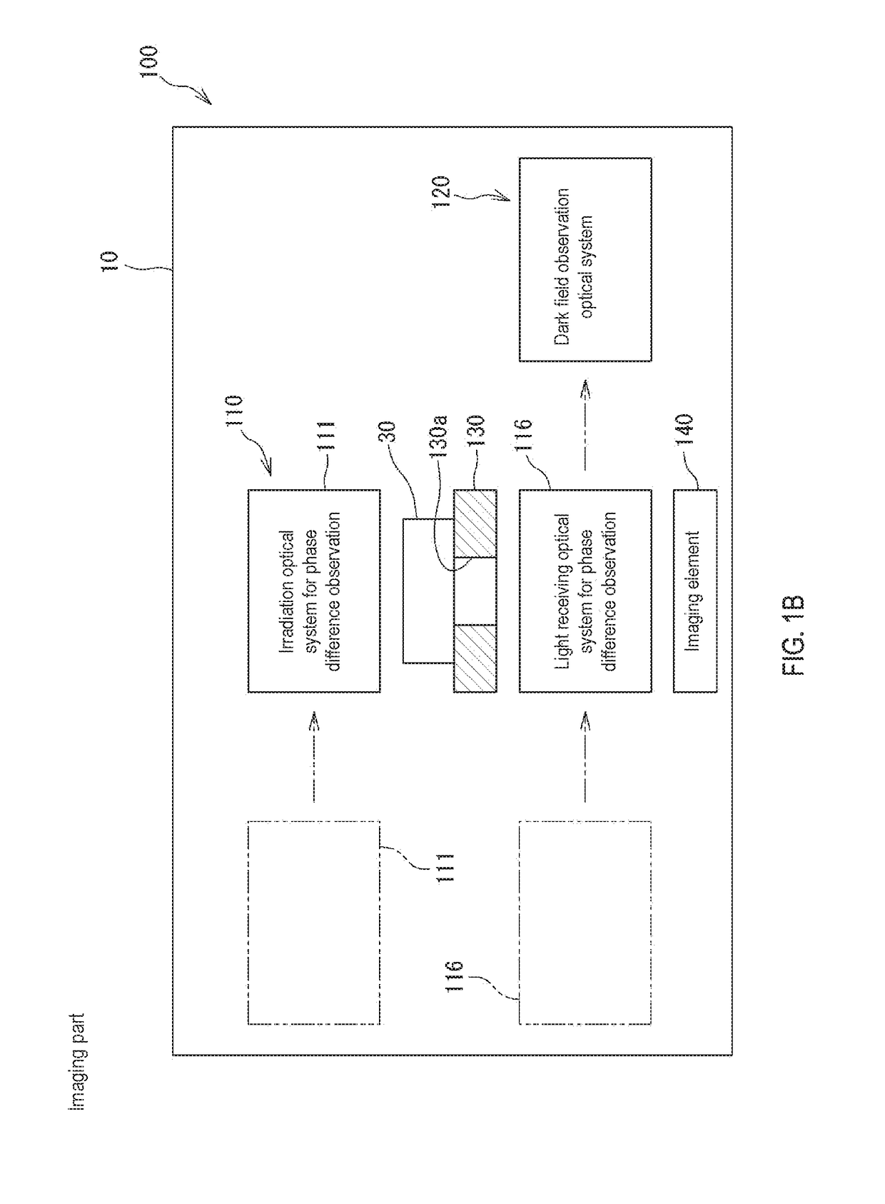 Cell area determination method, cell imaging system, and cell image processing apparatus