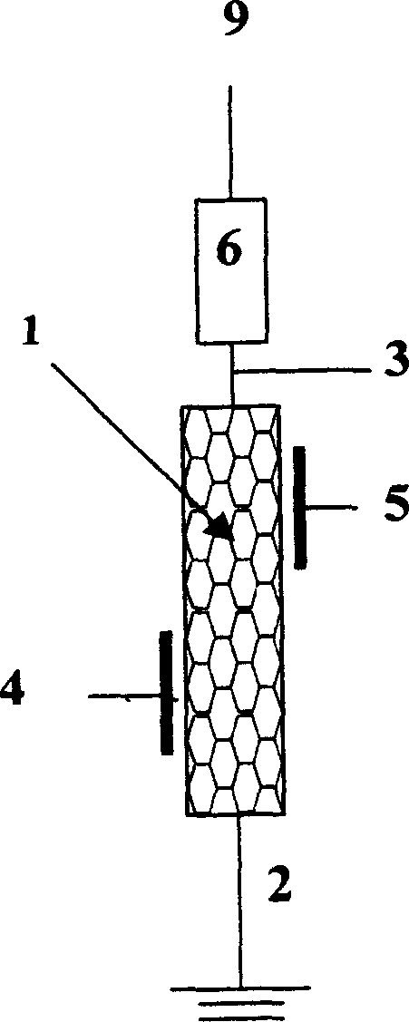 Carbon nano tube logic OR gate device and preparation method thereof