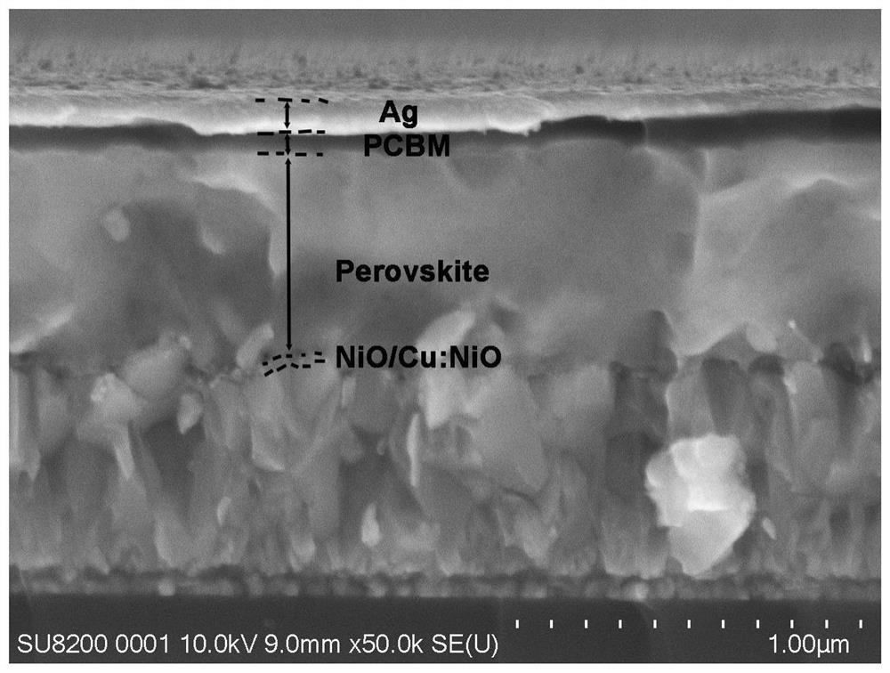 Homojunction charge transfer film for perovskite solar cell