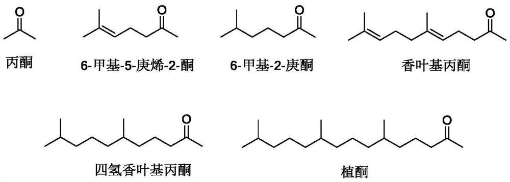 A kind of acetylation method