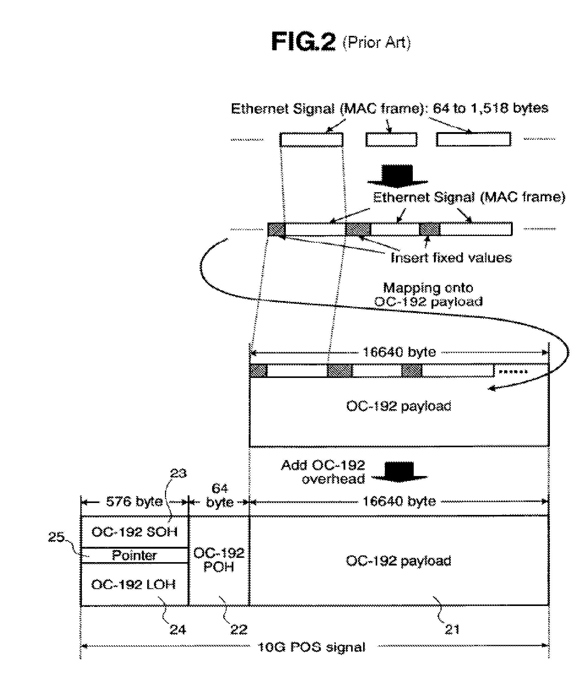 Optical cross connect apparatus and network