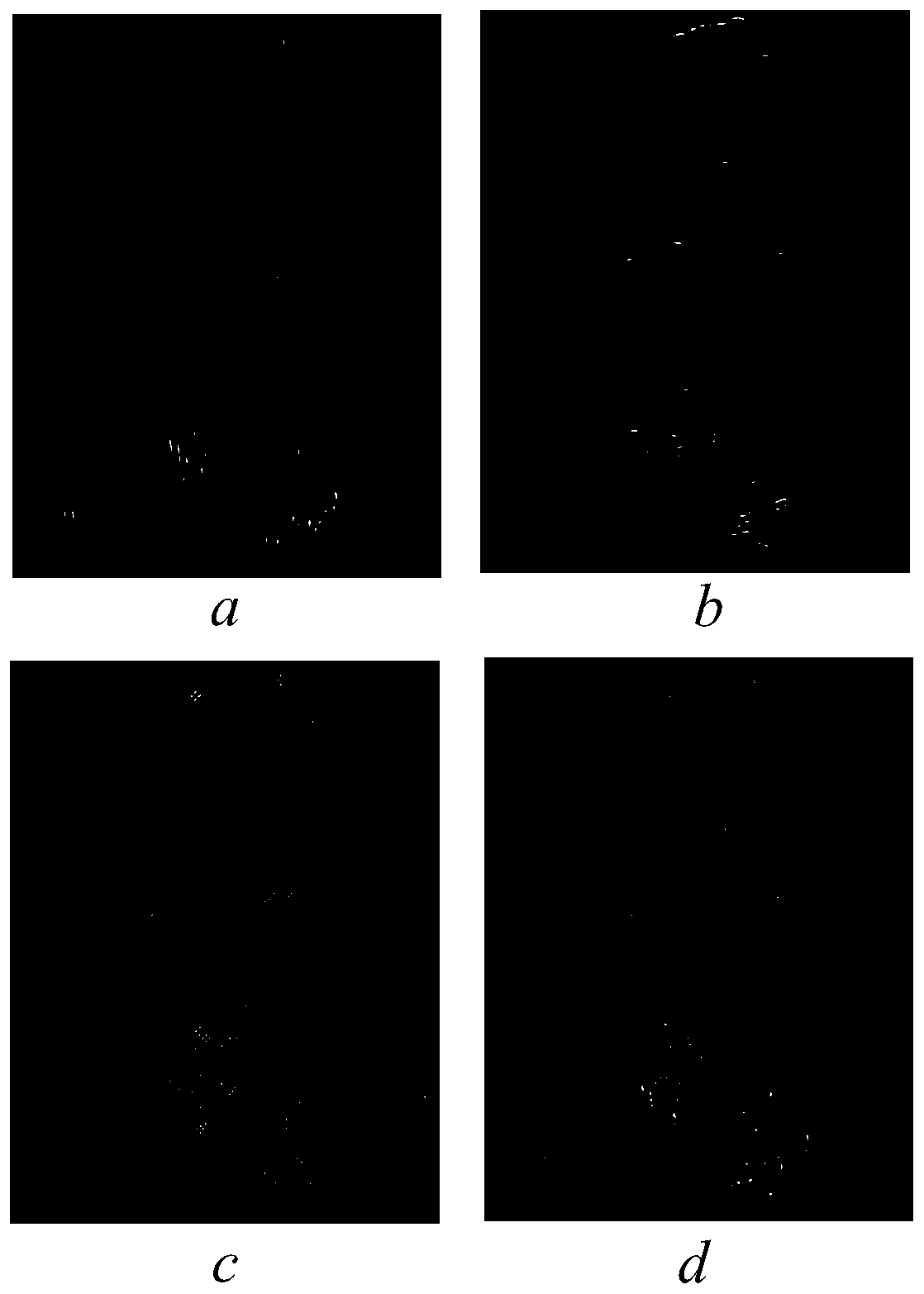 Image edge detection method based on six-order spline scale function