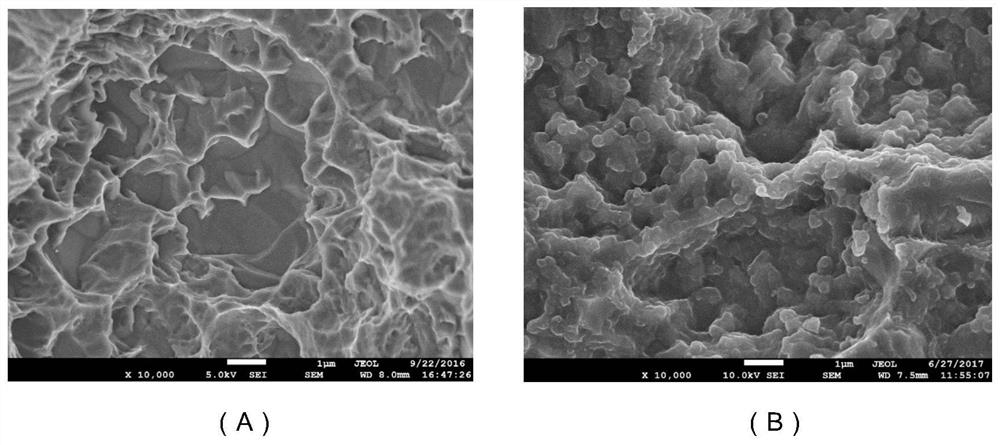 A kind of preparation method and application of antibacterial coating on dental implant surface