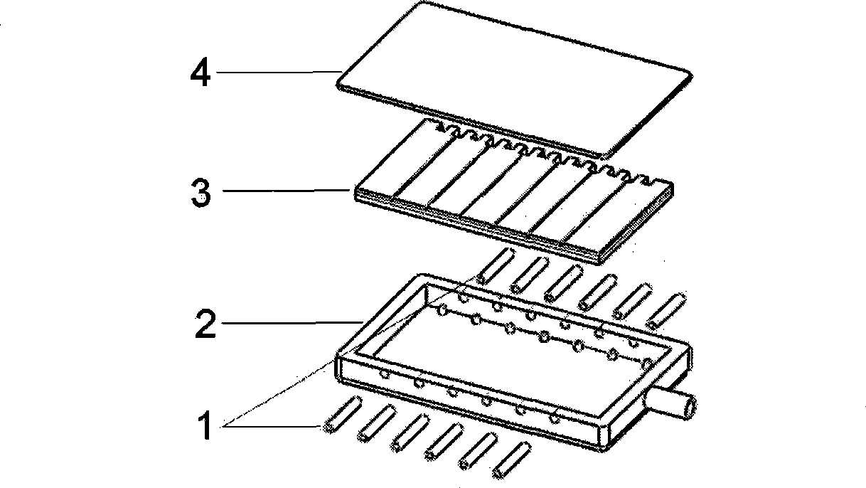 Continuous flow cell electric amalgamation chip based on silicon structure on insulator
