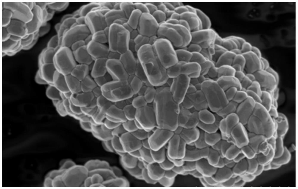 Preparation method and application of lithium ion battery positive electrode material