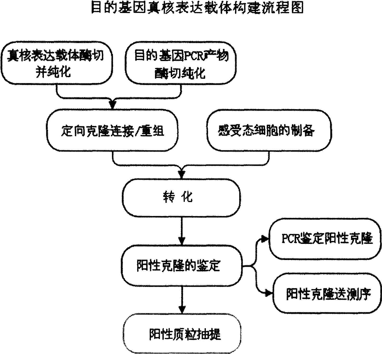 Non-integration slow virus vector system and preparation and application thereof