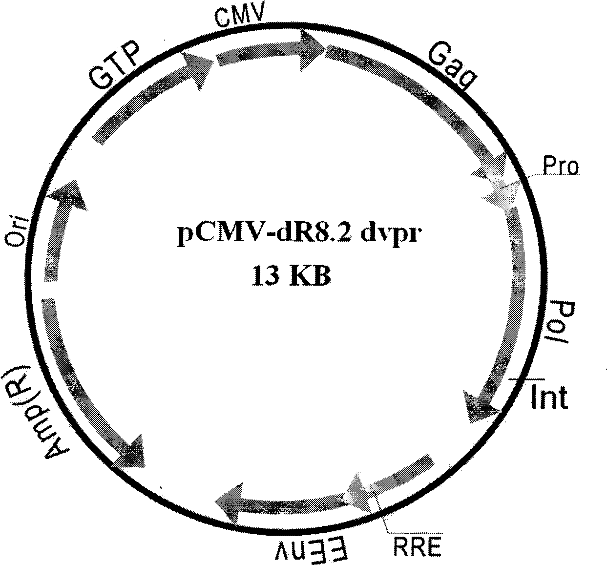 Non-integration slow virus vector system and preparation and application thereof