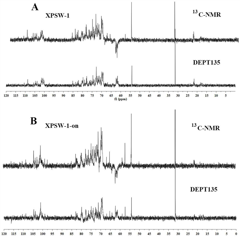 Rabdosia japonica polysaccharide as well as preparation method and application thereof