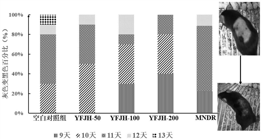 Plant source essence for preventing and treating alopecia and preparation method of plant source essence