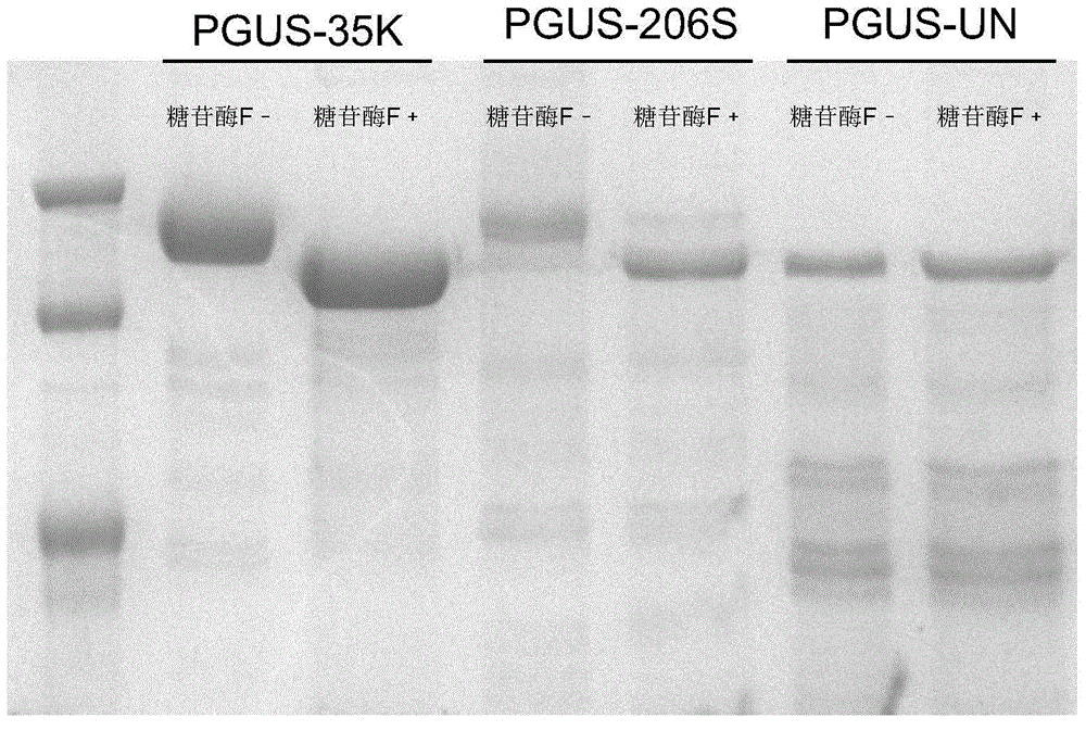 Method of improving enzymatic thermostability via artificially designed glycosylation modification