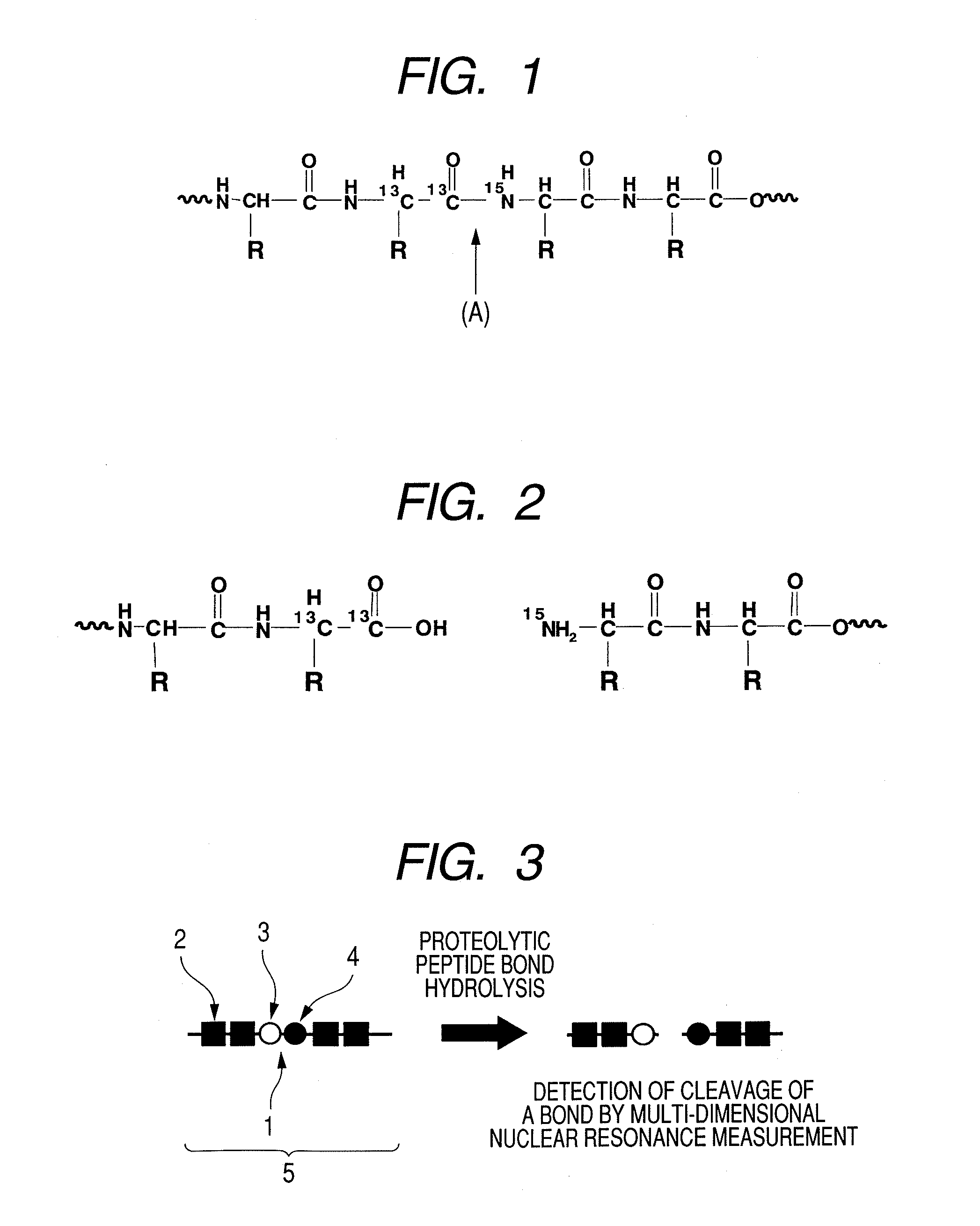 Substrate probe for use in measuring enzyme activity