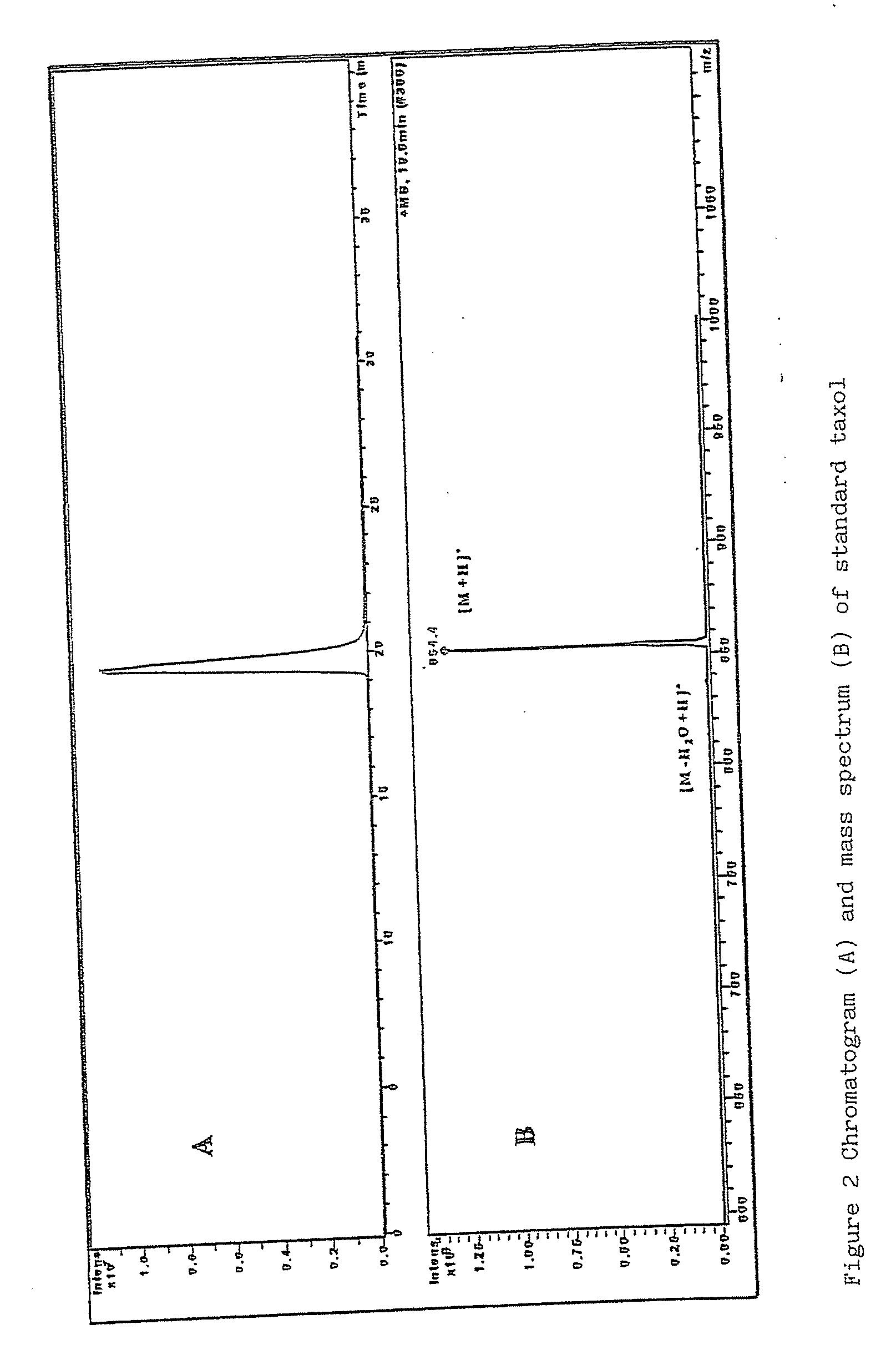 Method for the production of taxol and/or taxanes from cultures of hazel cells