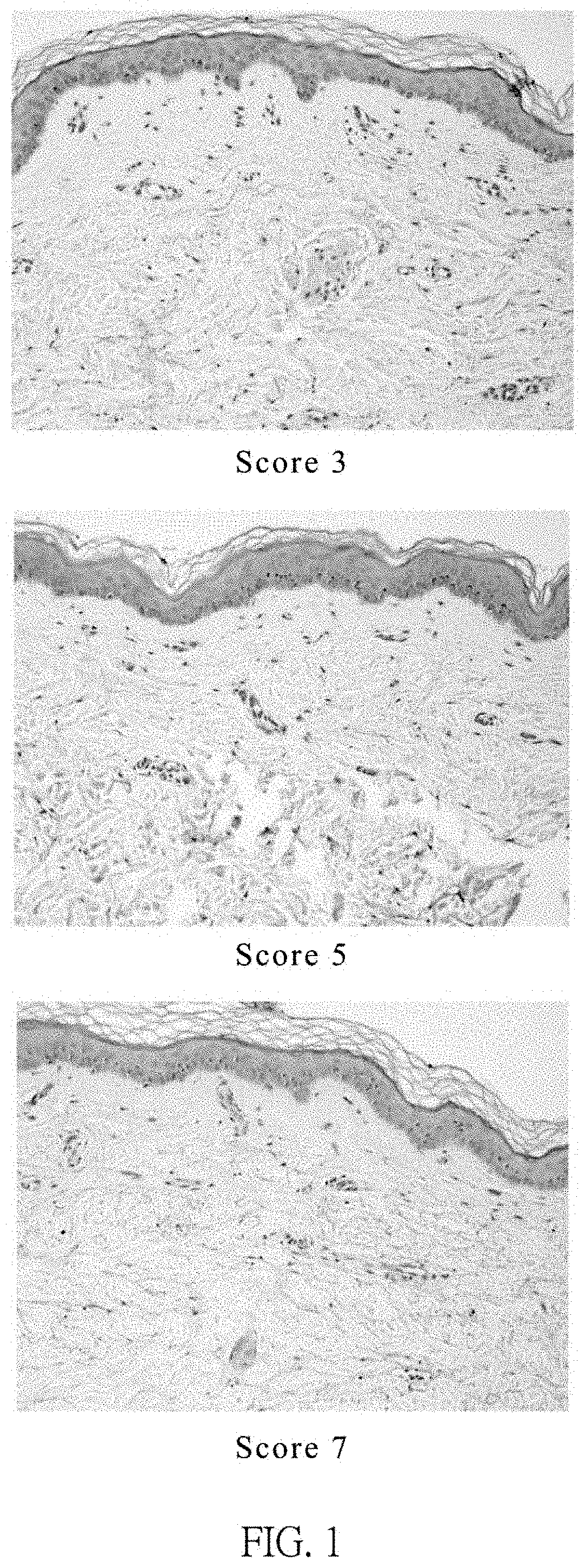 Cosmetic compositions to prevent and/or ameliorate skin aging and methods of applications