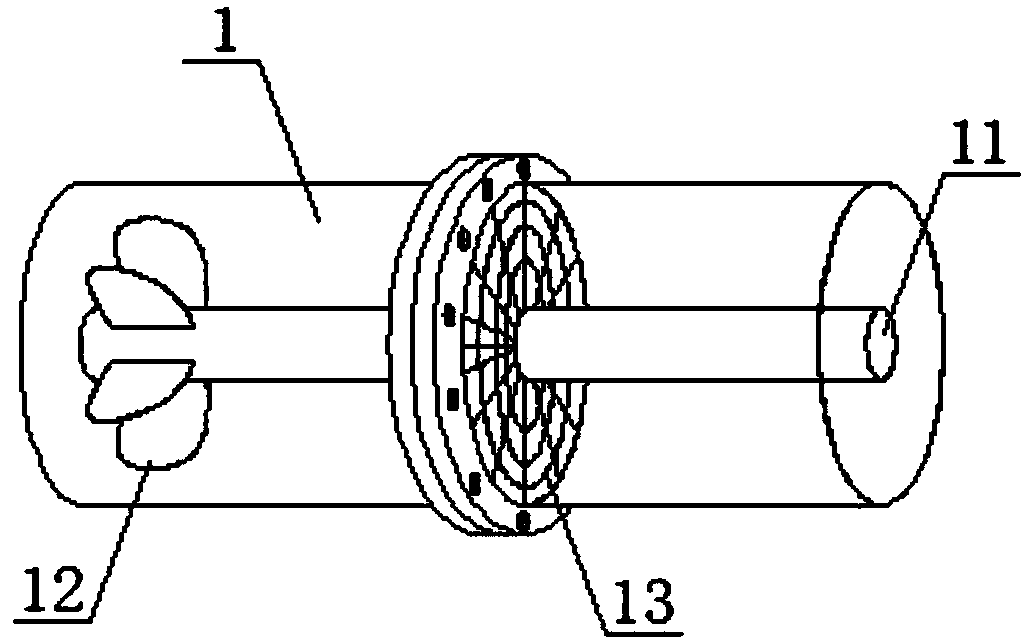 Treatment apparatus for filtering wastewater