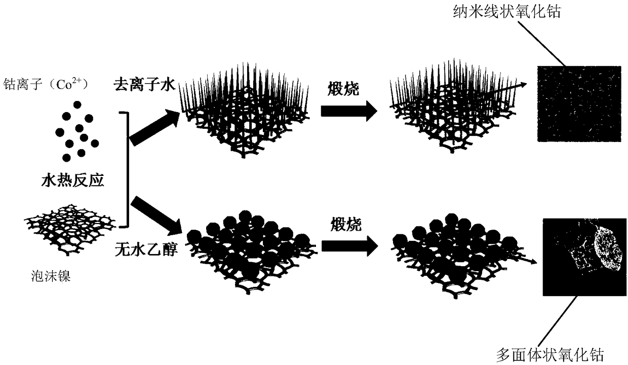 Preparation method of different morphologies of cobalt monoxide nanometers loaded with foam nickel