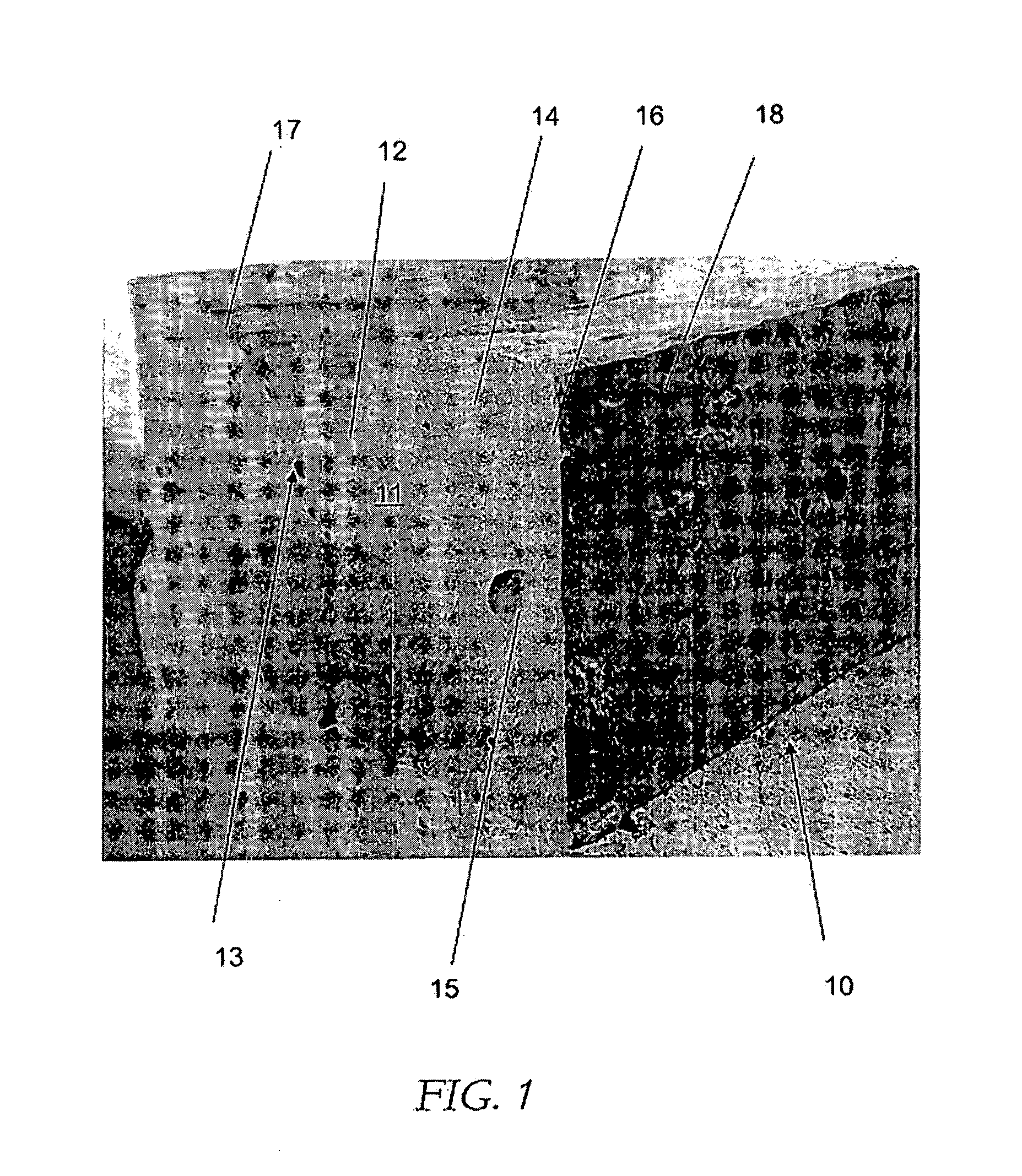 Manufacture of articles from fly ash