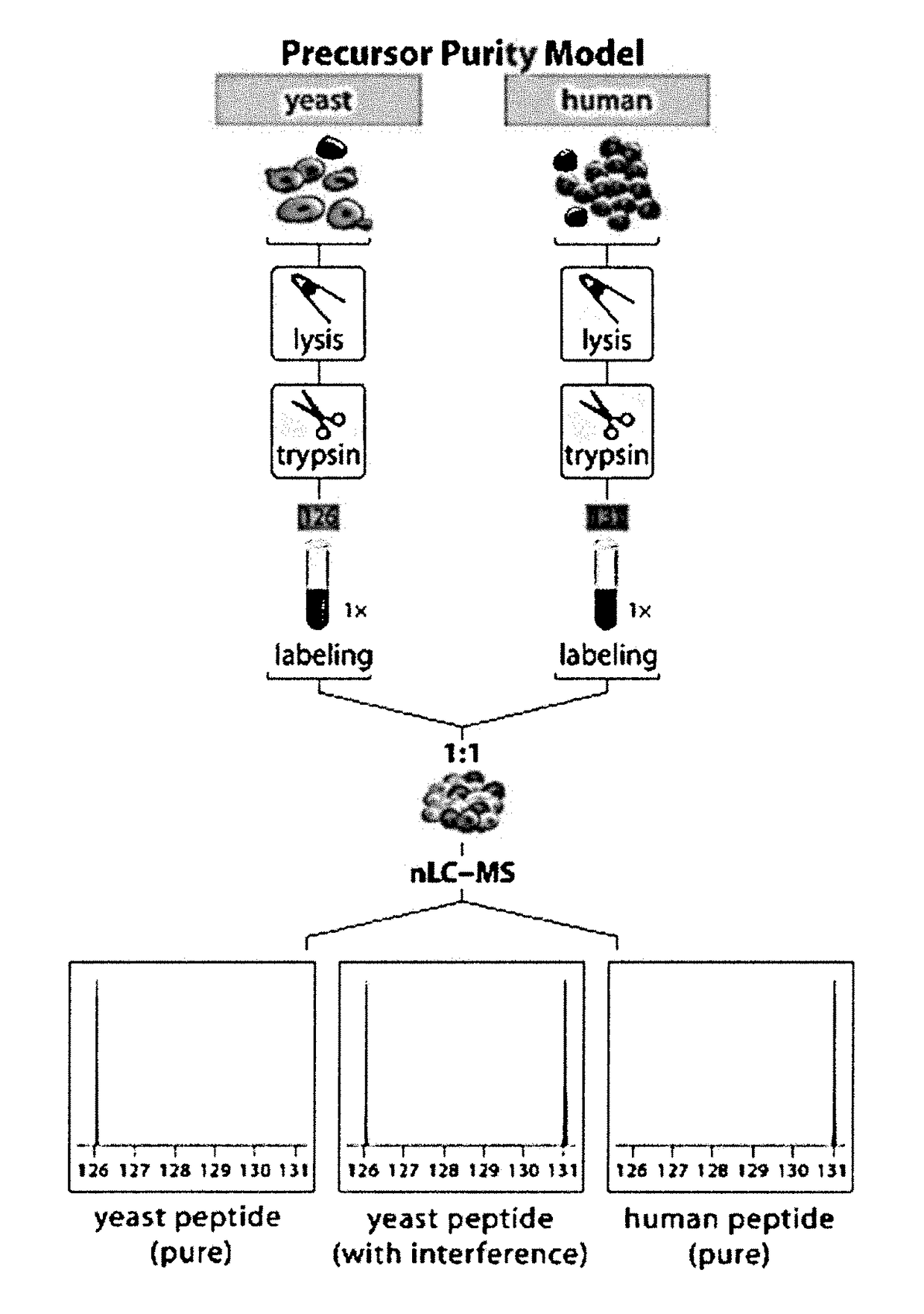 Gas-phase purification for accurate isobaric tag-based quantification