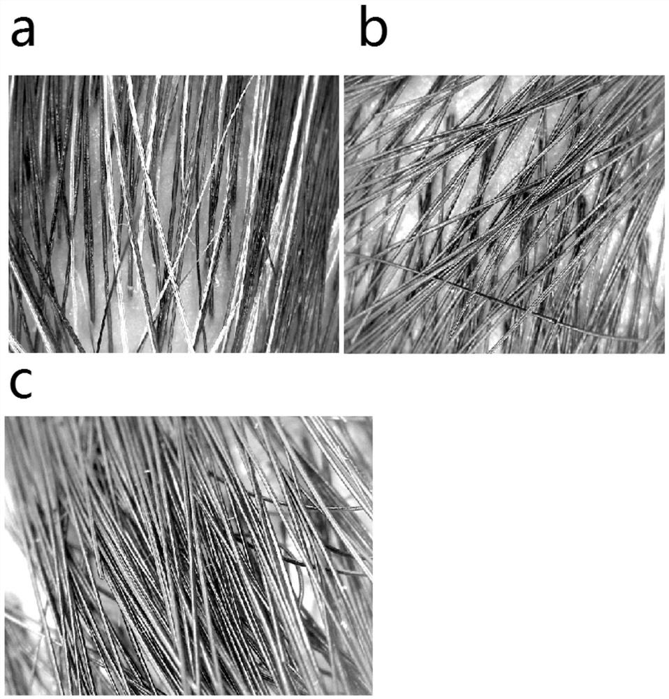 Melanin hair dye and use method thereof