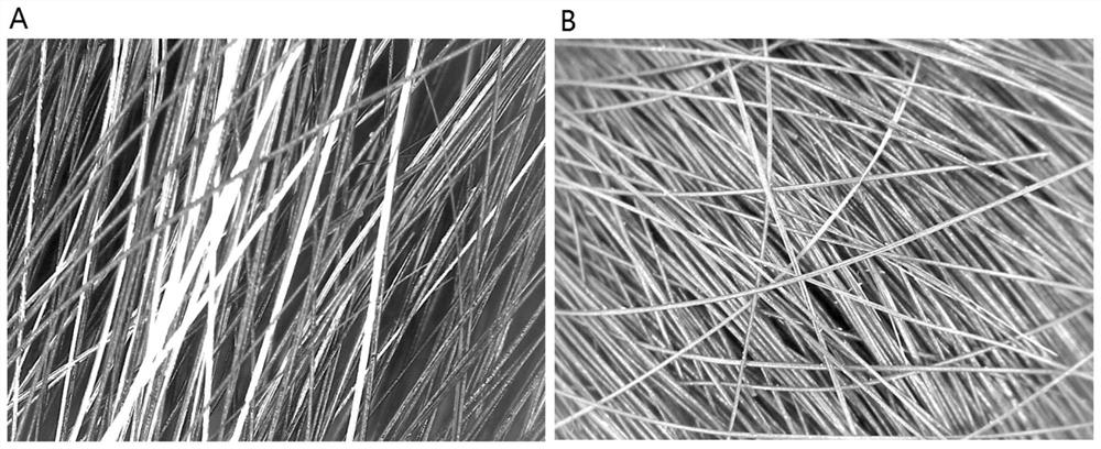 Melanin hair dye and use method thereof