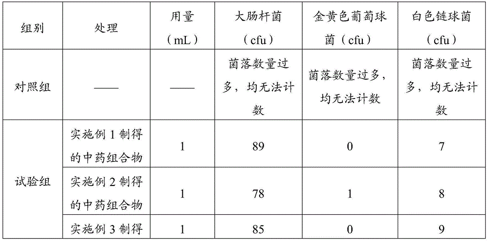 Traditional Chinese medicine composition and preparation method thereof, and oral cavity cleaning and nursing product and preparation method thereof
