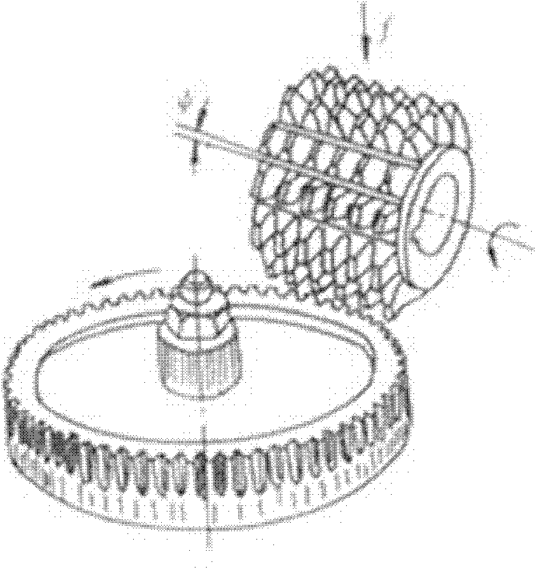 Gear modeling method and gear modeling device