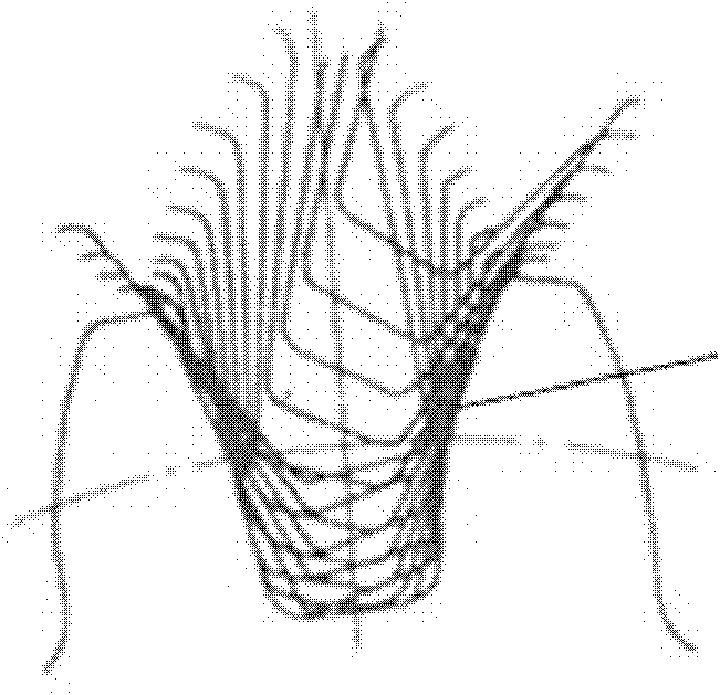 Gear modeling method and gear modeling device