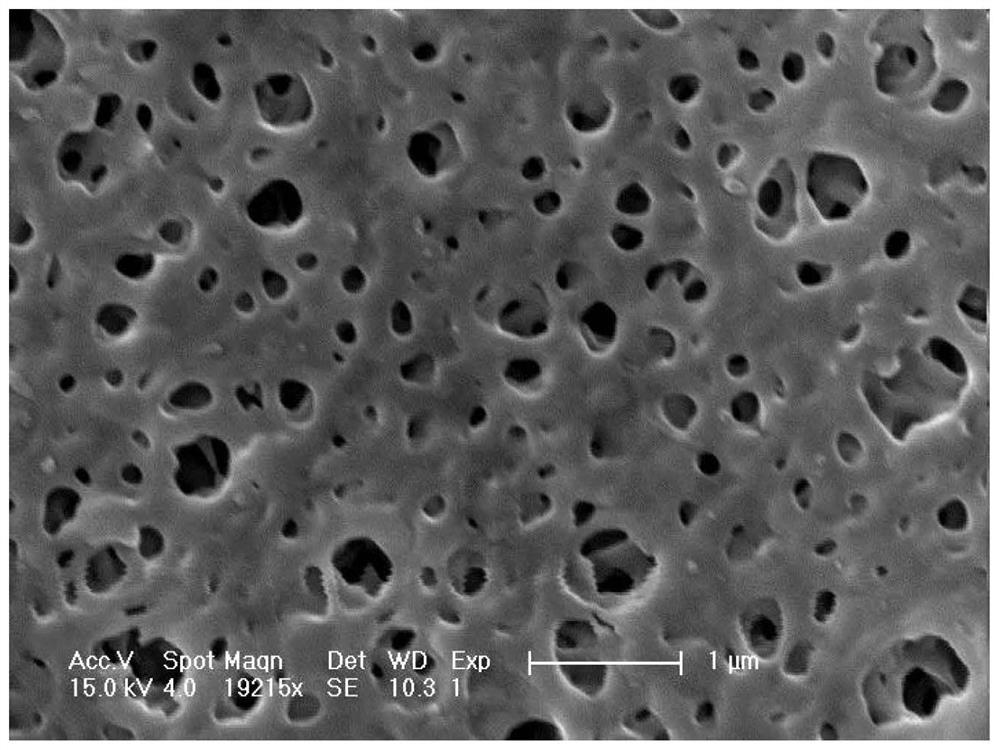 Microporous filter membrane and preparation method thereof