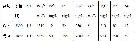 A kind of comprehensive treatment method of waste water produced by iron phosphate production