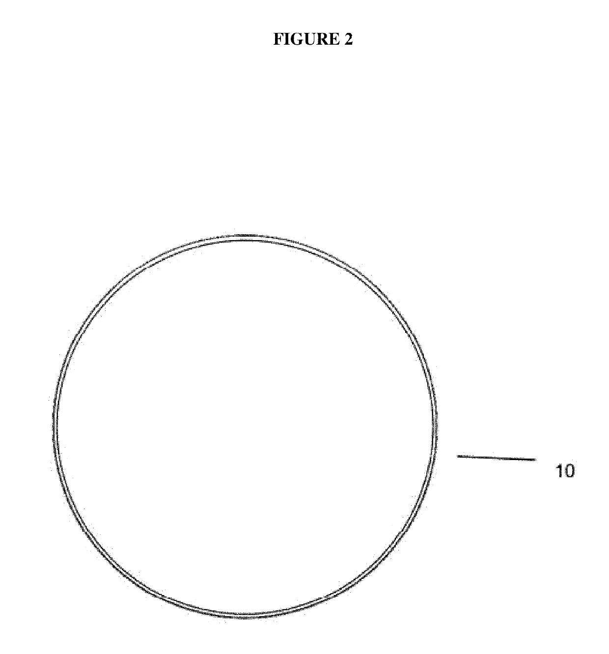System and method for displaying digital imagery on a digital imagery display locket