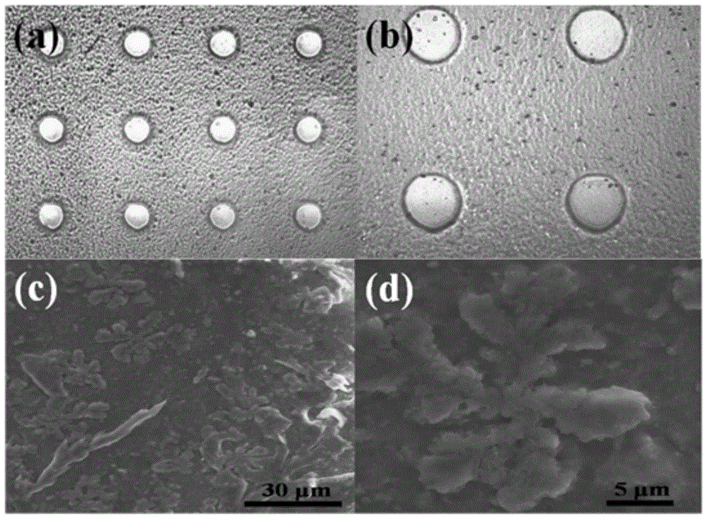 Preparation of hydrotalcite nanosheet/carbon array/metal/silicon combined electrode and application of hydrotalcite nanosheet/carbon array/metal/silicon combined electrode as non-enzymatic sensor