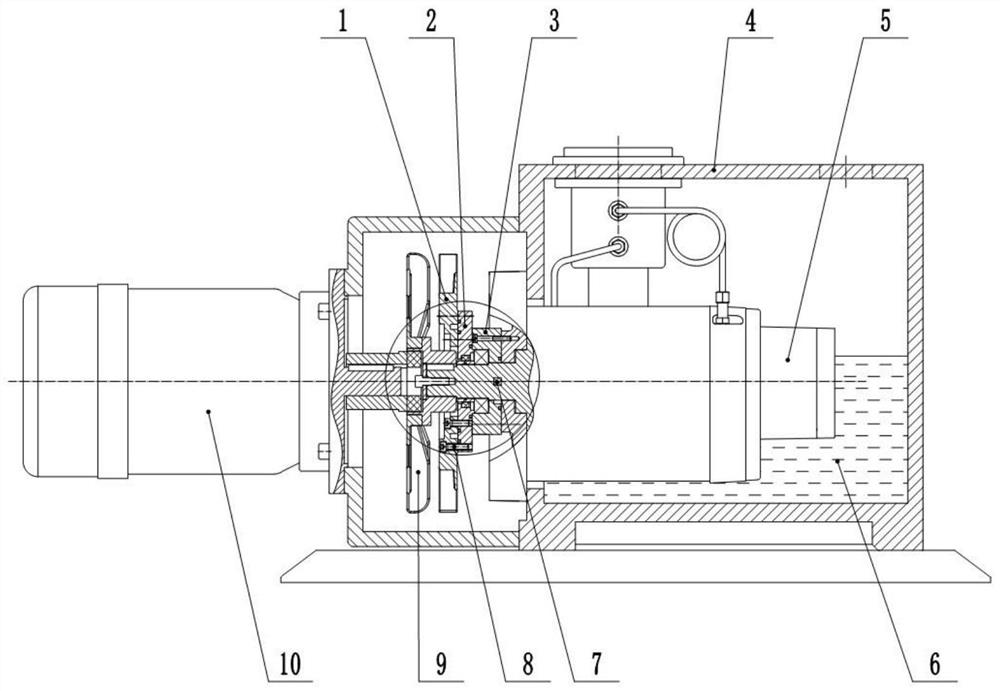 Oil leading-out cooling structure of large-pumping-speed rotary vane pump