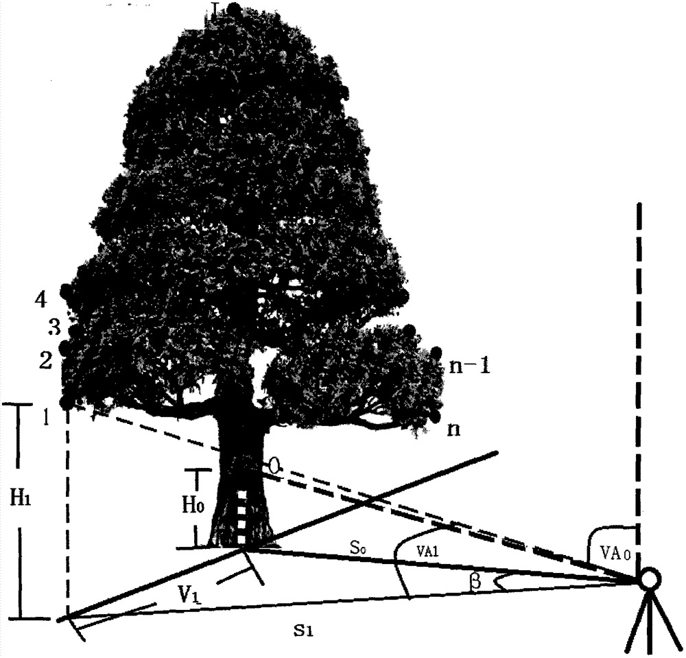 Tree crown size and surface area measurement technology with electronic theodolite as tool