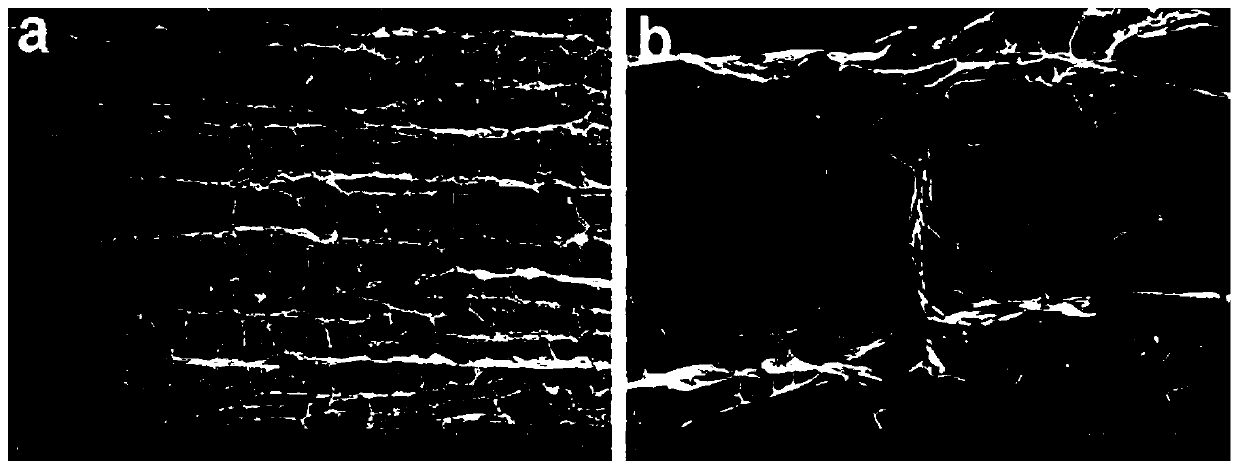 A kind of preparation method of sodium alginate/typha/graphene oxide composite airgel