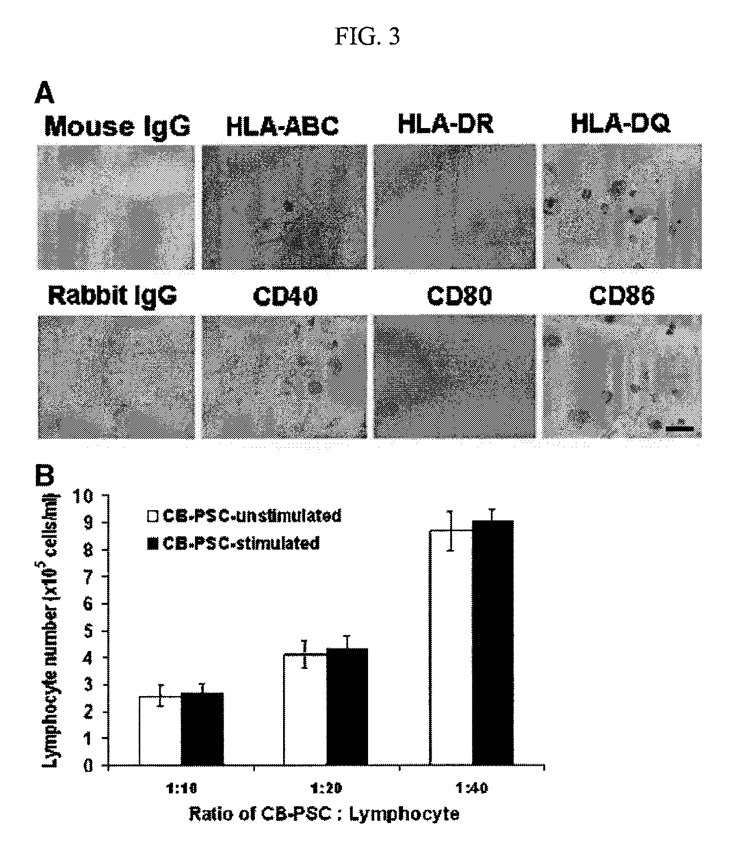 Isolation of CD14 negative, CD45 positive and CD117 positive embryonic-like stem cells free of monocytes from human umbilical cord blood mononuclear cells