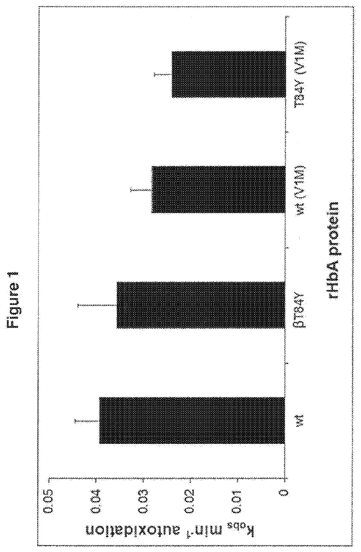 Modified haemoglobin proteins