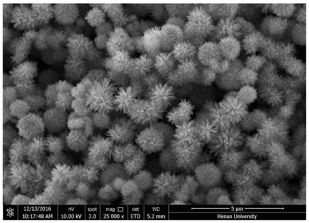 A method for preparing au nanoflowers by a microwave-assisted method and au nanoflowers