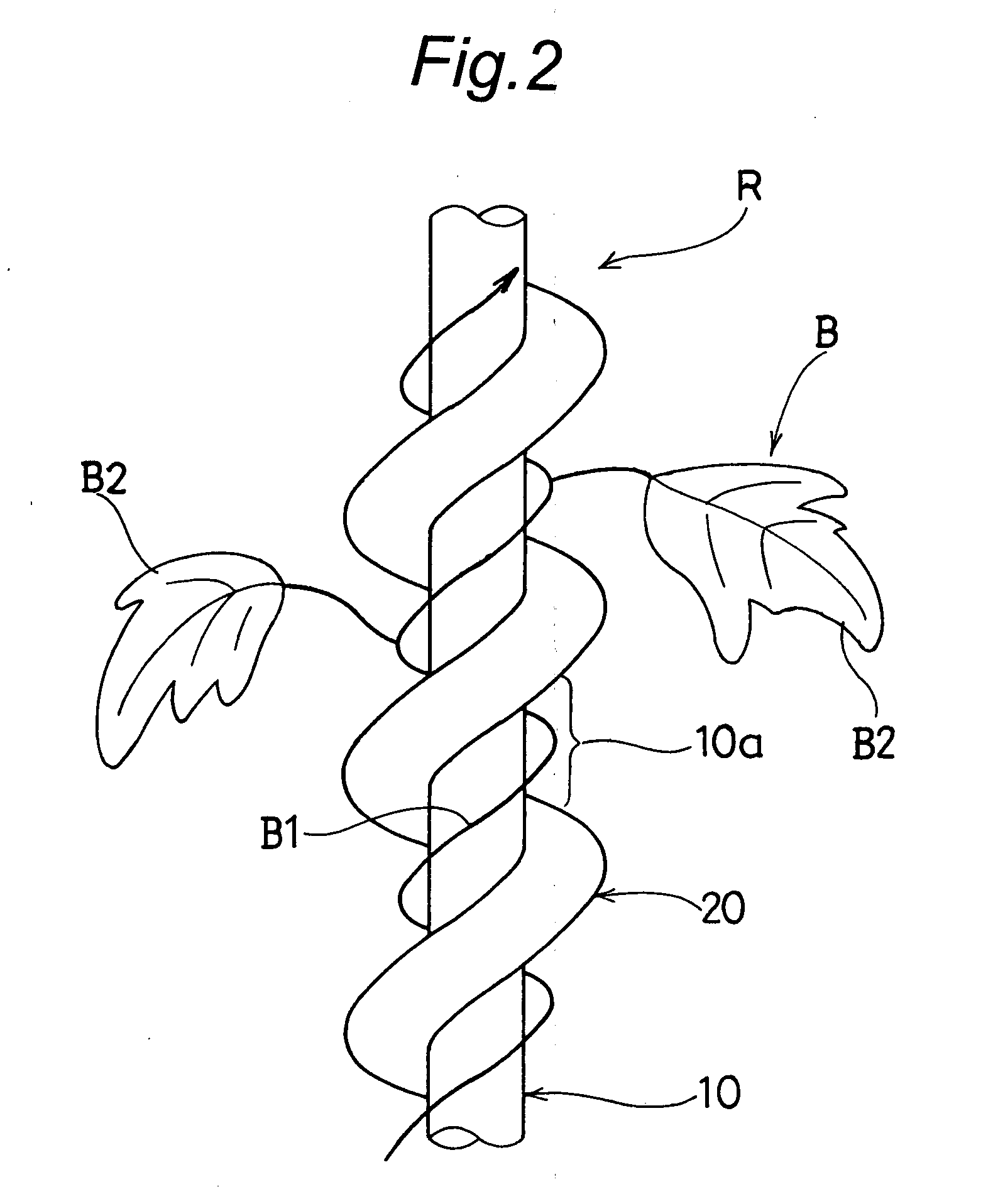 Spiral rope for liana raising, manufacturing method for the spiral rope and wall surface greening system