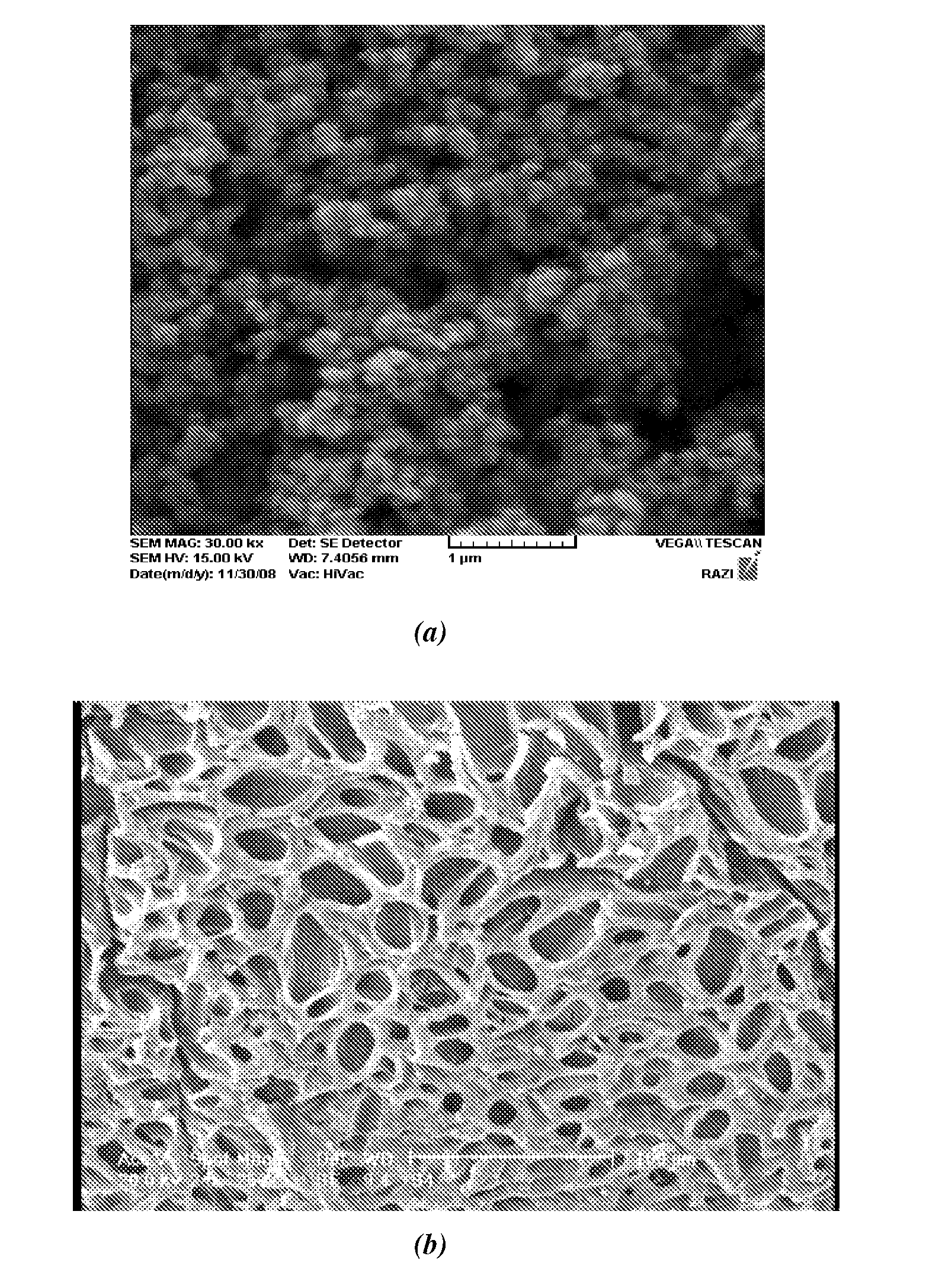 Nano-composite superabsorbent containing fertilizer nutrients used in agriculture