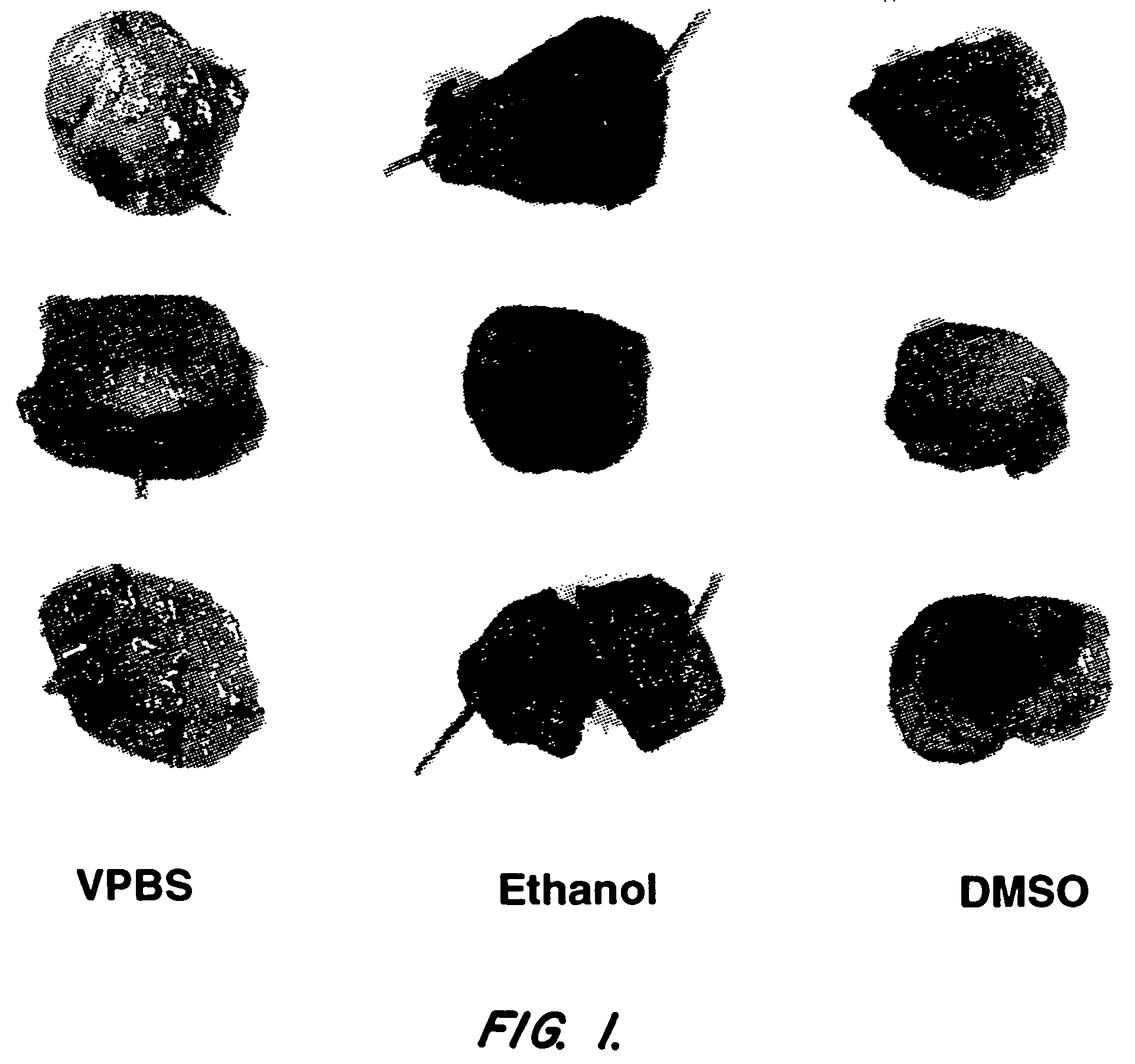 Compositions and methods for therapeutic use