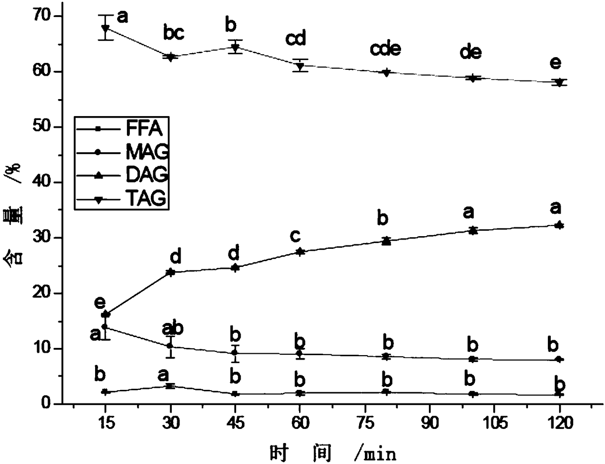 Method for preparing diglyceride through enzyme catalysis of ester exchange of monoglyceride and medium chain triglyceride