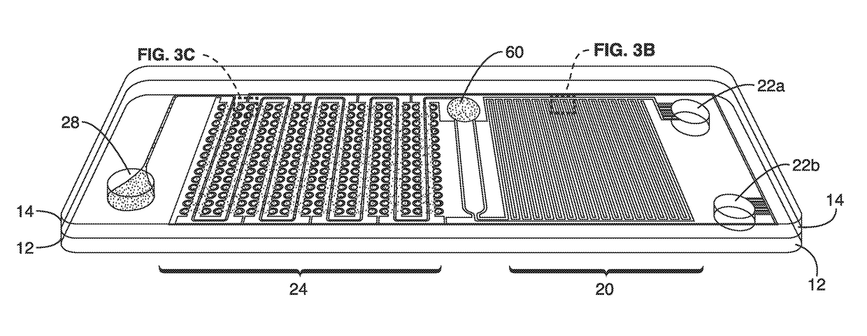 Self-powered microfluidic chip with micro-patterned reagents